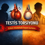 testis torsiyonu