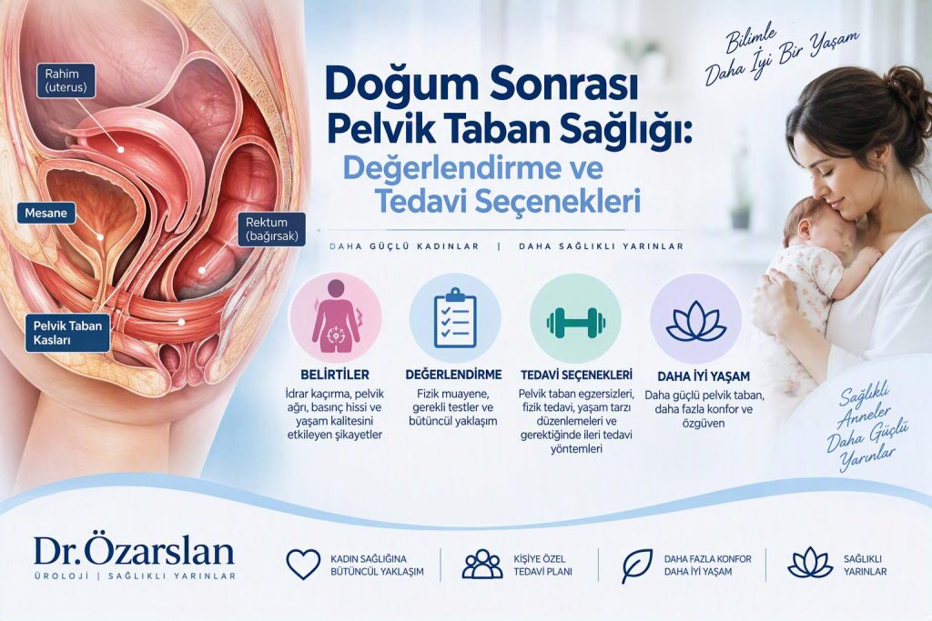 Doğum Sonrası Pelvik Taban Sağlığı: Değerlendirme ve Tedavi Seçenekleri