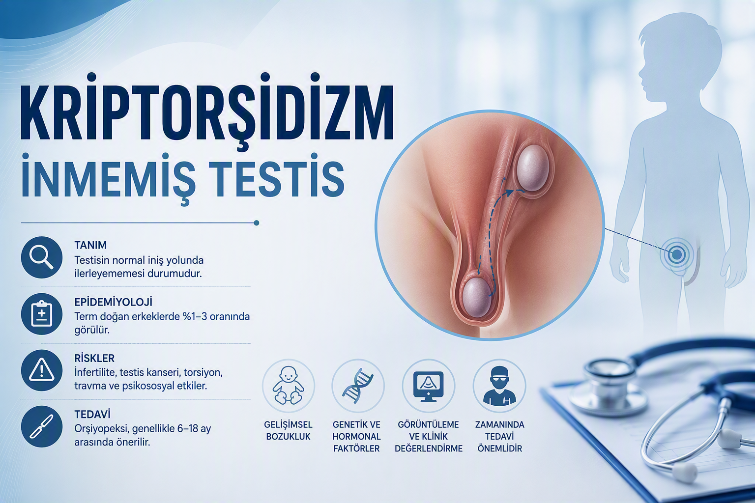 Kriptorşidizm İnmemiş Testis