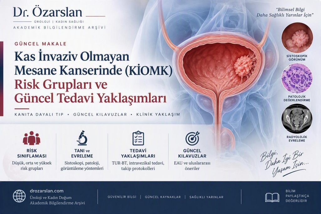 Kas İnvaziv Olmayan Mesane Kanserinde (KİOMK) Risk Grupları ve Güncel Tedavi Yaklaşımları