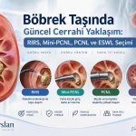 Böbrek Taşında Güncel Cerrahi Yaklaşım: RIRS, Mini-PCNL, PCNL ve ESWL Seçimi